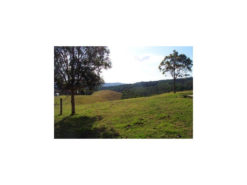 170 Blanckensee Road, Black Mountain QLD 4563