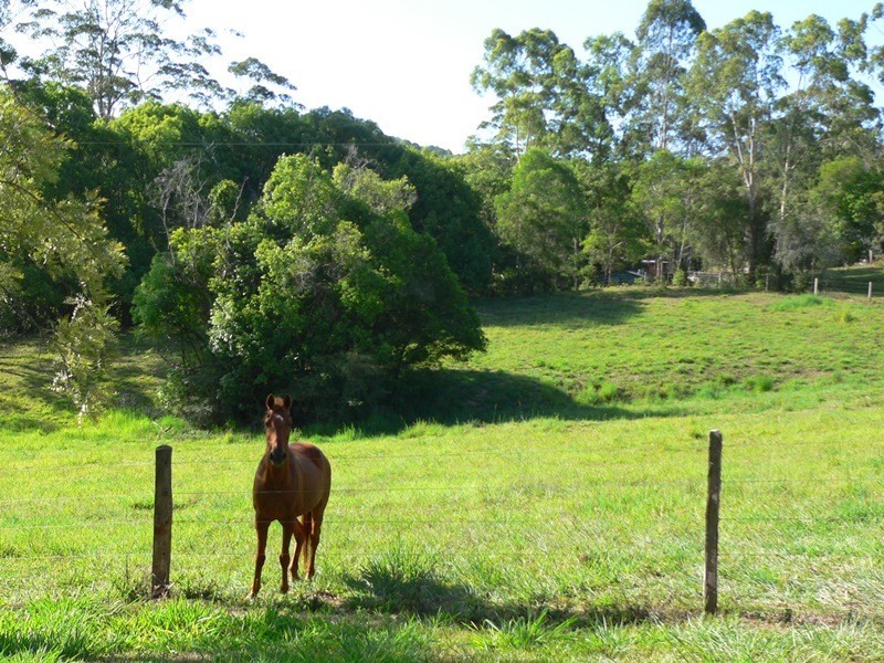 161 Black Pinch Road, Pomona QLD 4568