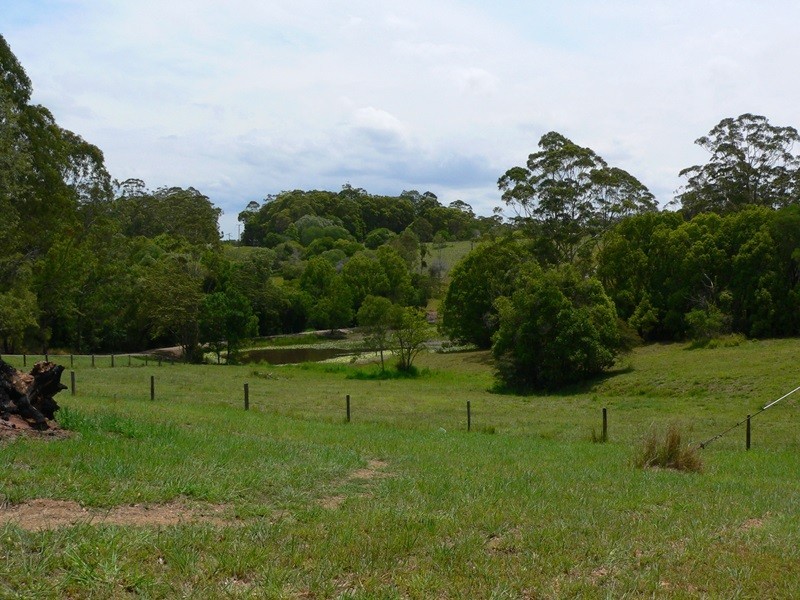 161 Black Pinch Road, Pomona QLD 4568