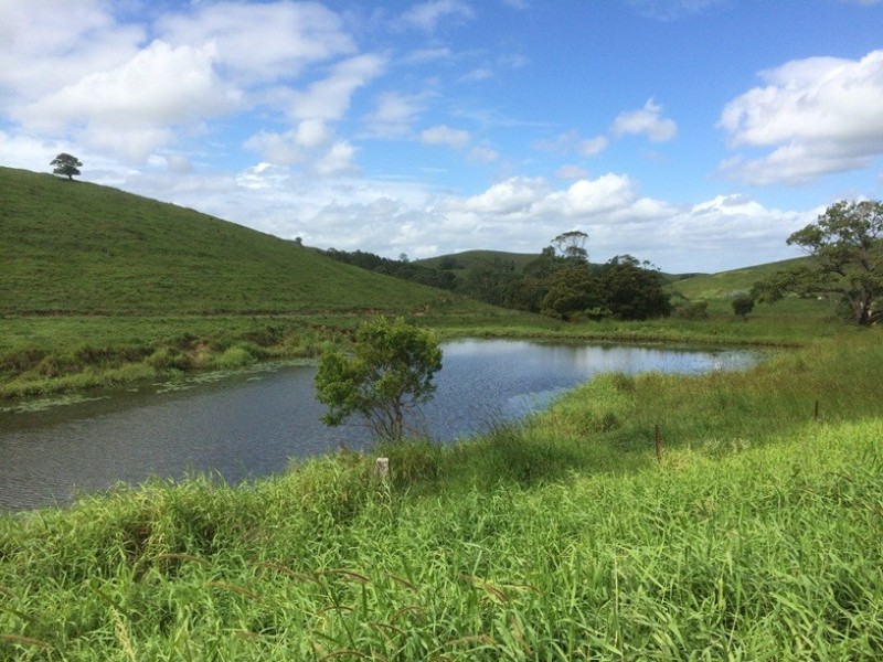 350 Upper Pinbarren Creek, Pinbarren QLD 4568
