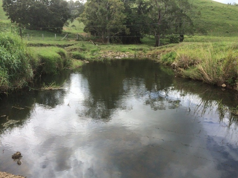 350 Upper Pinbarren Creek, Pinbarren QLD 4568