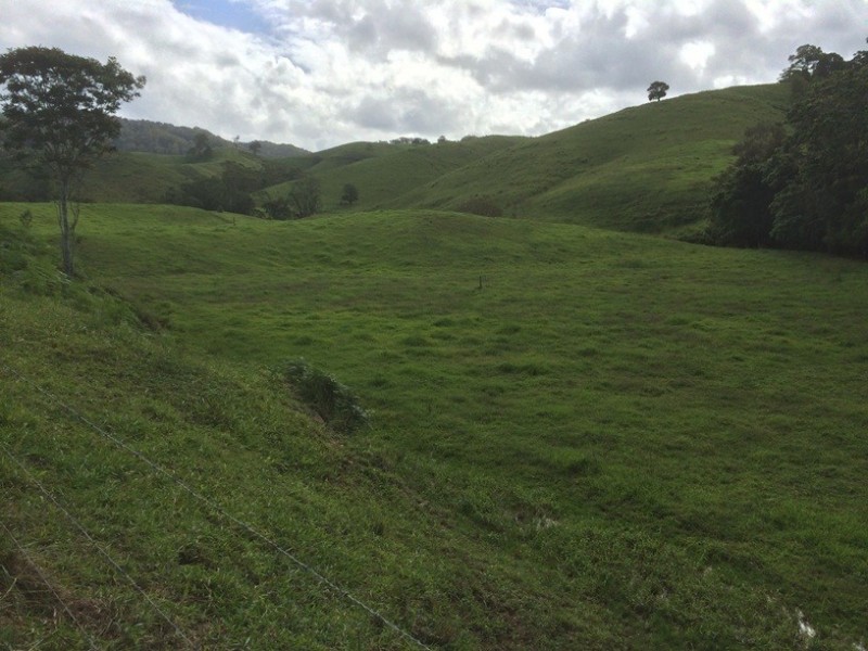 350 Upper Pinbarren Creek, Pinbarren QLD 4568