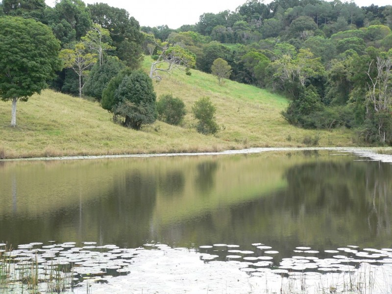 197 Black Pinch Road, Cootharaba QLD 4565