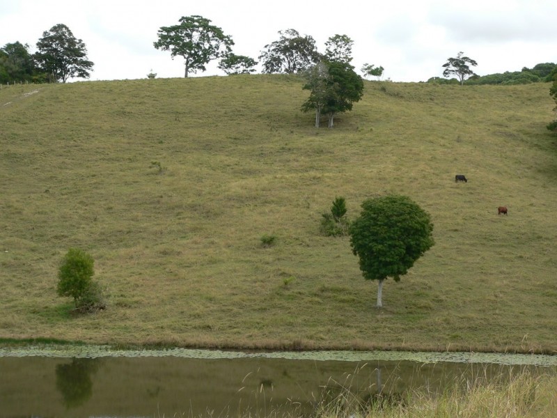 197 Black Pinch Road, Cootharaba QLD 4565