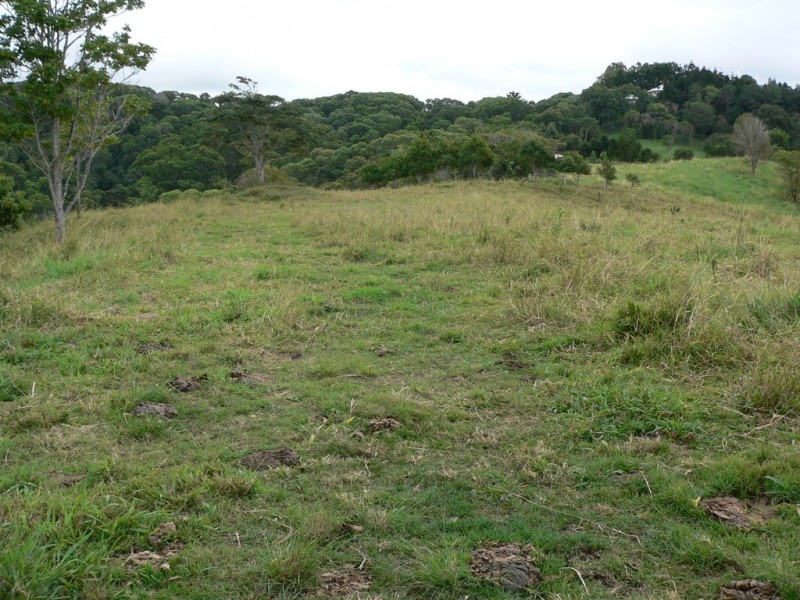 197 Black Pinch Road, Cootharaba QLD 4565