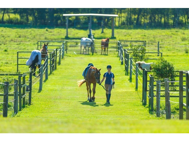 61 Pavilion Street, Pomona QLD 4568