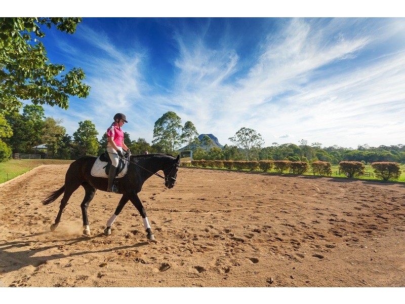 61 Pavilion Street, Pomona QLD 4568