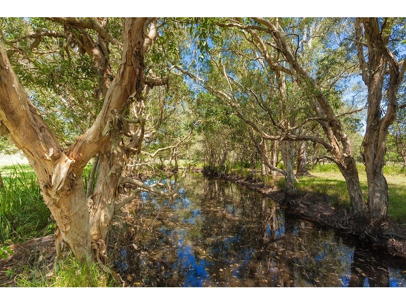 61 Pavilion Street, Pomona QLD 4568