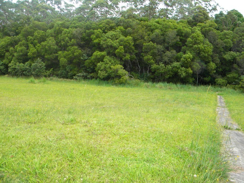 15 Friarbird Place, Pomona QLD 4568