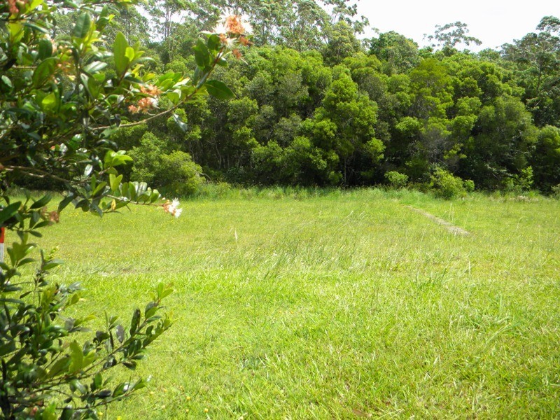 15 Friarbird Place, Pomona QLD 4568