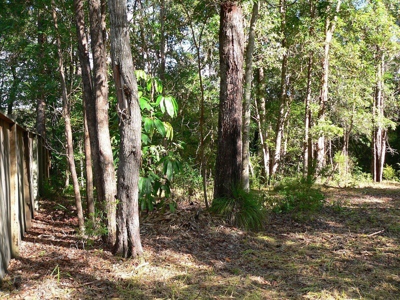 13 Laguna Street, Boreen Point QLD 4565