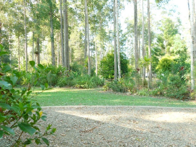 3 Palm Tree Court, Pomona QLD 4568