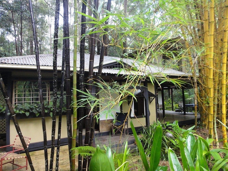 288 Kidd Road, Pomona QLD 4568
