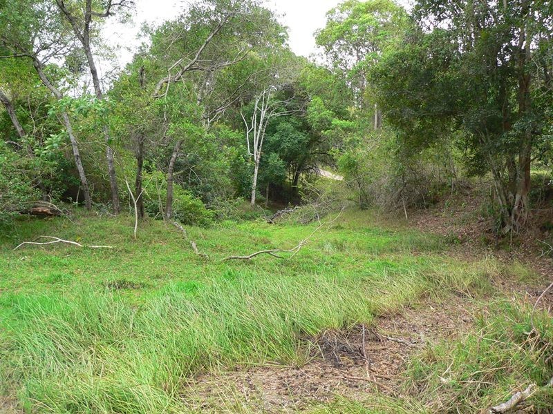 198 Arthys Road, Cooran QLD 4569