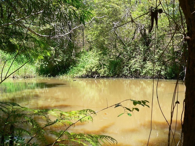 120 Ormes Road, Wilsons Pocket QLD 4570