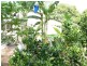 8 Elandra Terrace, Pomona QLD 4568