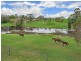 1531 Cooroy Belli Creek Road, Ridgewood QLD 4563