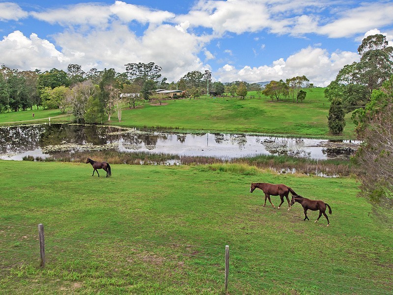1531 Cooroy Belli Creek Road, Ridgewood QLD 4563