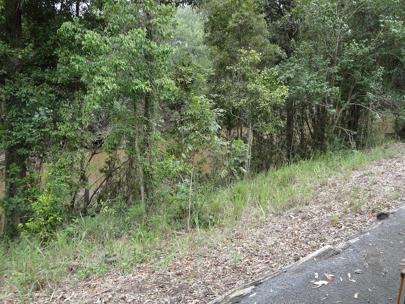 132 Blackgate Road, Amamoor QLD 4570