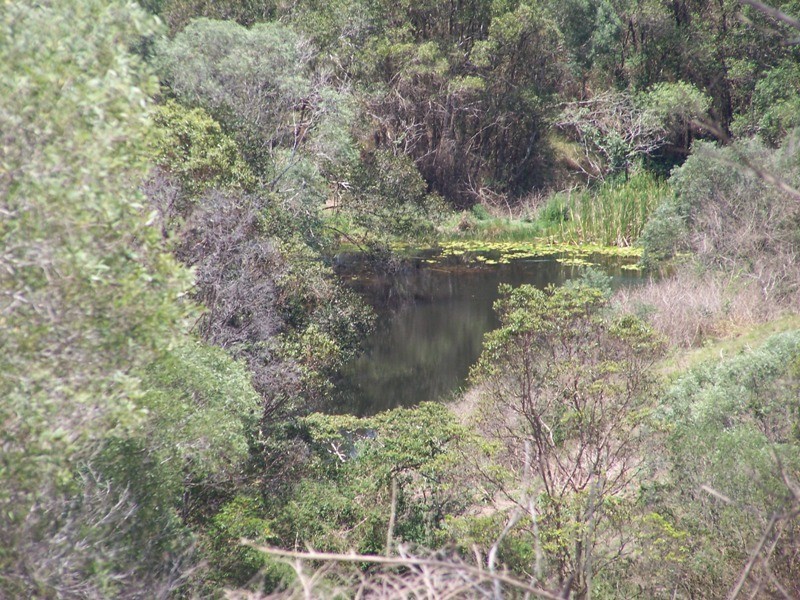 Lot 6 Lehman Road, Traveston QLD 4570
