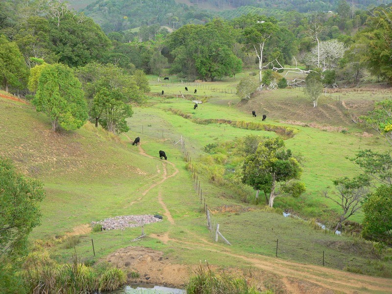 545 Sister Tree Creek Road, Kin Kin QLD 4571