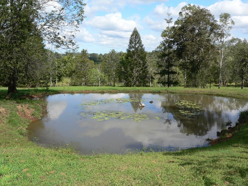 545 Sister Tree Creek Road, Kin Kin QLD 4571