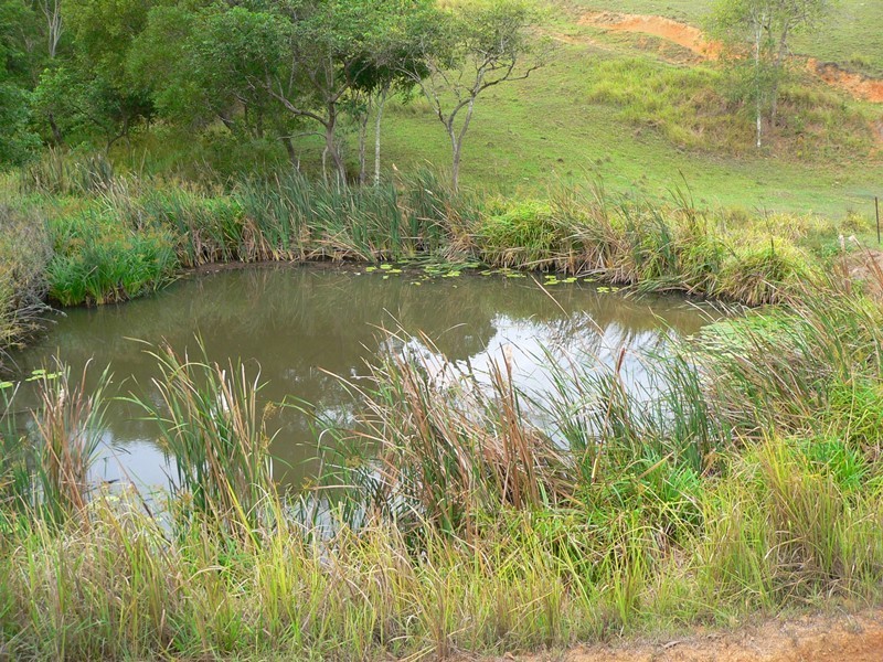 545 Sister Tree Creek Road, Kin Kin QLD 4571