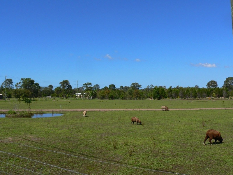 39 Eucalypt Way, Cootharaba QLD 4565