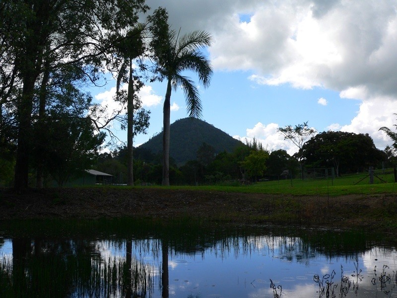 37 Mountain View Road, Pinbarren QLD 4568
