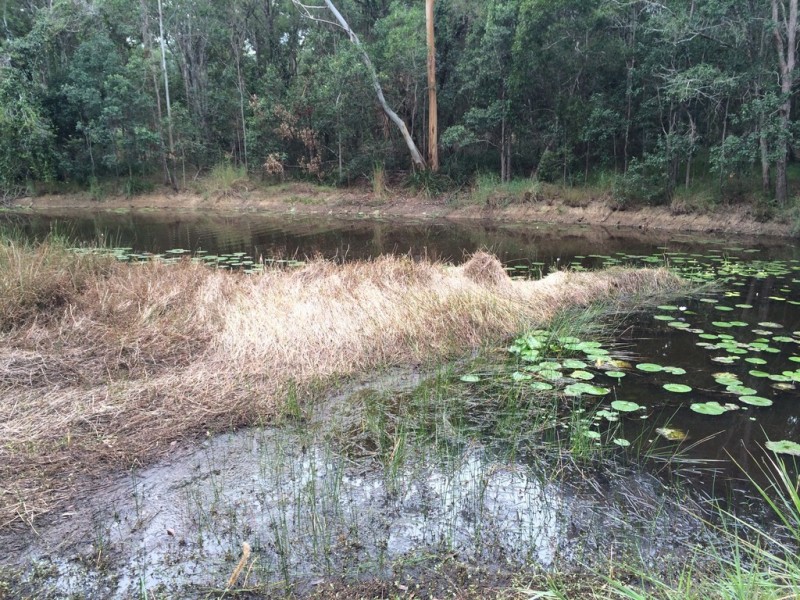 855 Traveston-Cooran Road, Cooran QLD 4569