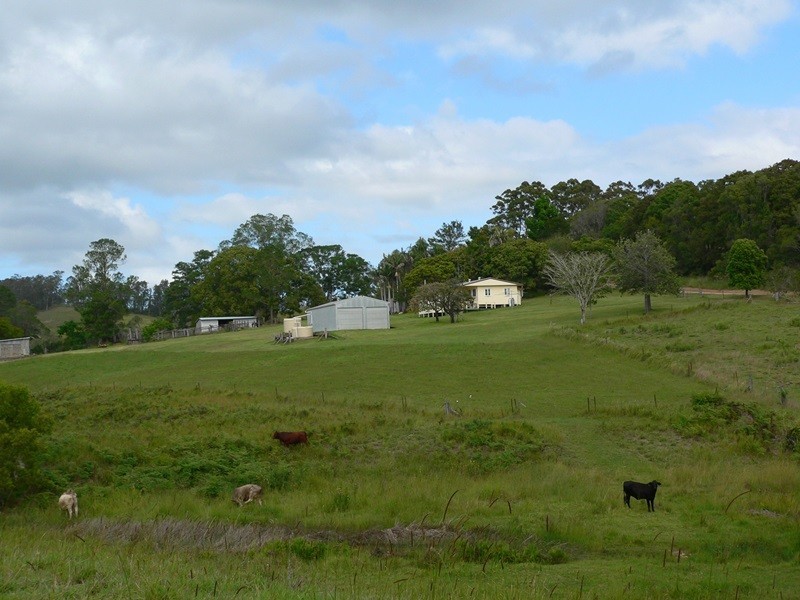 Cooran QLD 4569