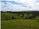 Cooran QLD 4569