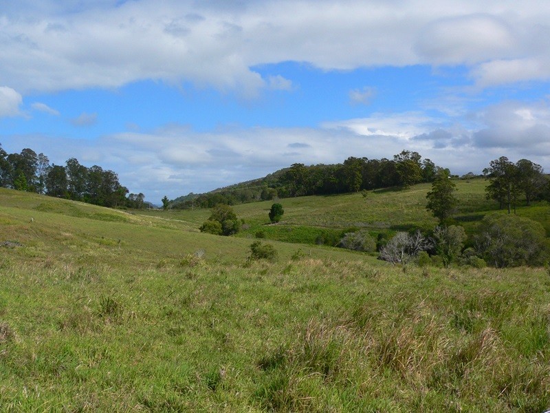 Cooran QLD 4569
