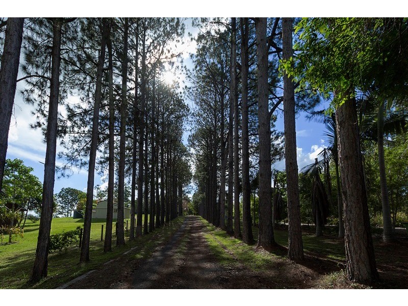 8 Manorina Lane, Cootharaba QLD 4565