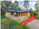 59 Blueberry Drive, Black Mountain QLD 4563