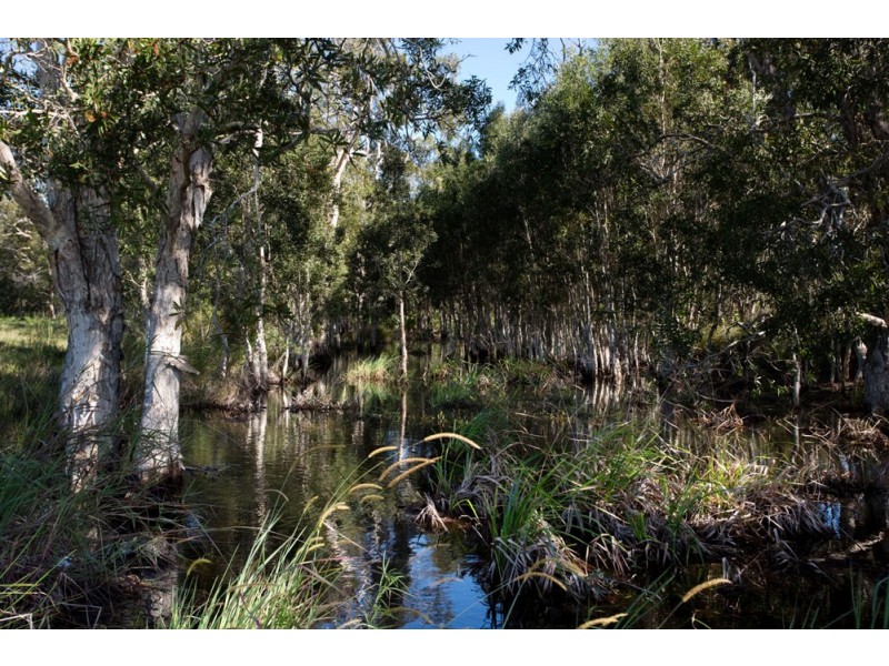 280 Dr Pages Road, Cootharaba QLD 4565