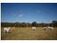 280 Dr Pages Road, Cootharaba QLD 4565