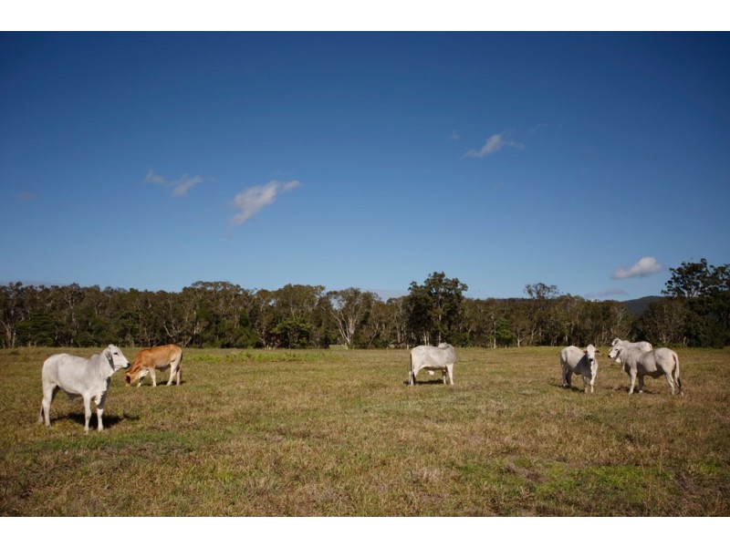 280 Dr Pages Road, Cootharaba QLD 4565