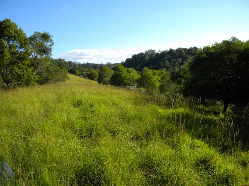 11 Spitfire Lane, Cooroy QLD 4563