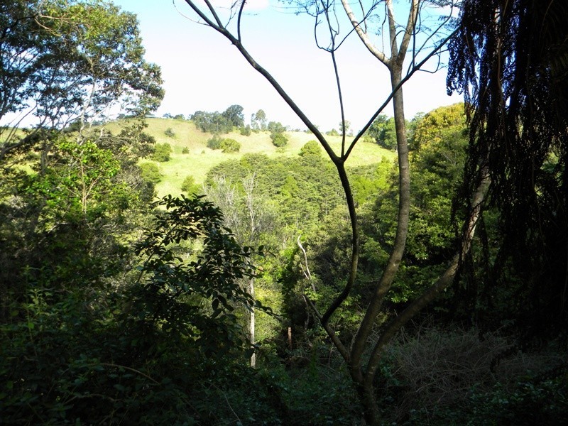 11 Spitfire Lane, Cooroy QLD 4563