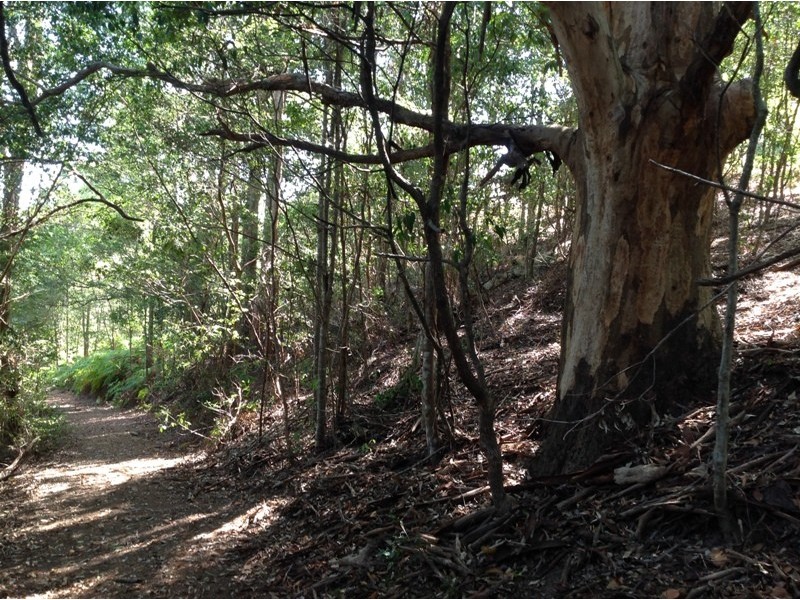 11 Spitfire Lane, Cooroy QLD 4563