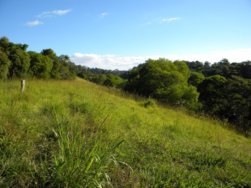 11 Spitfire Lane, Cooroy QLD 4563