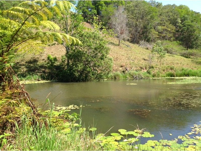 11 Spitfire Lane, Cooroy QLD 4563