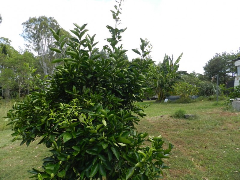 2245-2285 Mary Valley Road, Kandanga QLD 4570