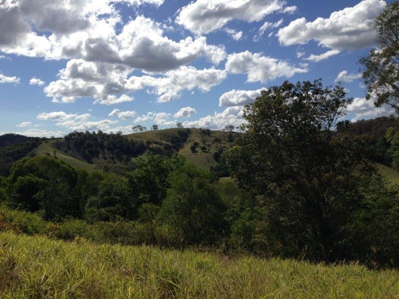 342 Middle Creek Road, Federal QLD 4568