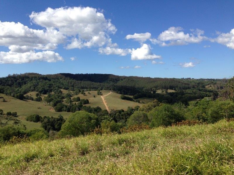 342 Middle Creek Road, Federal QLD 4568