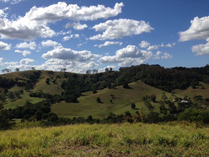 342 Middle Creek Road, Federal QLD 4568