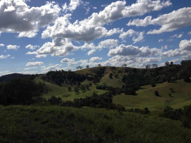 342 Middle Creek Road, Federal QLD 4568