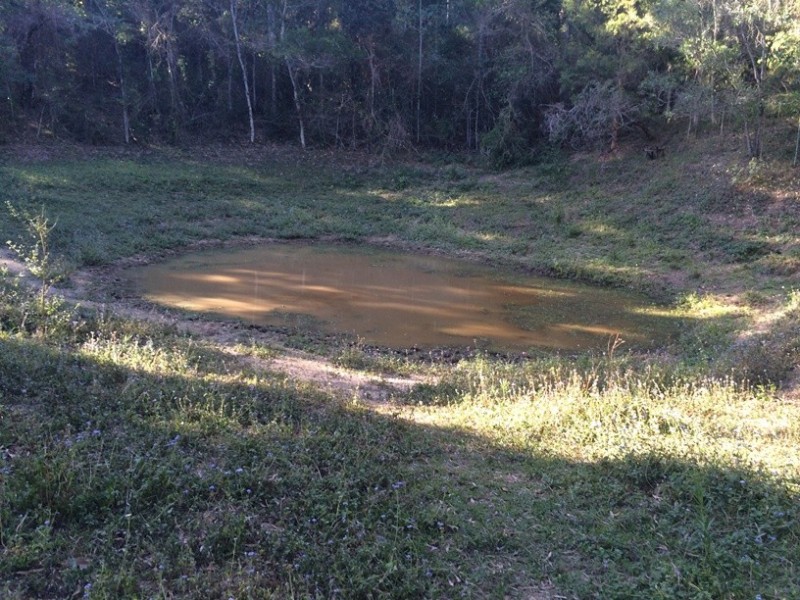 342 Middle Creek Road, Federal QLD 4568