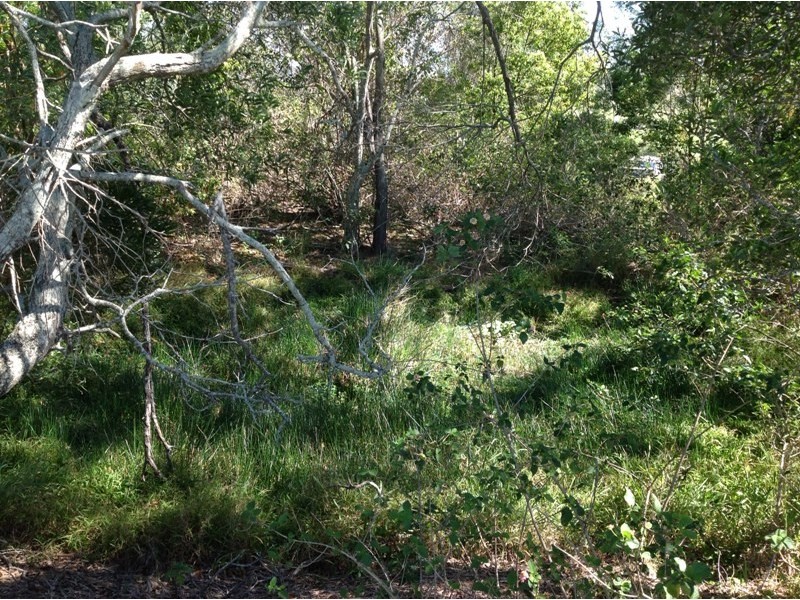 50 Gympie-Kin Kin Road, Kin Kin QLD 4571